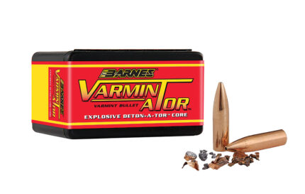 Barnes Bullets 30092 Varminator 20 Caliber .204 32 GR Flat Base Hollow Point 1