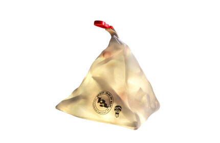 Big Agnes mtnGLO Tent and Camp Lights