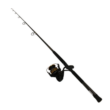 Daiwa BG 6500 Spinning Rod and Reel Combo