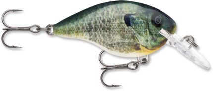 Rapala Dives To 04 Crankbait 2ft, 5/16oz