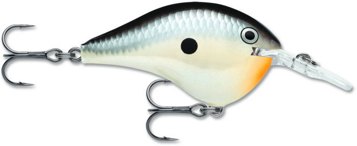Rapala Dives To 06 Crankbait 2ft, 3/8oz, Floating