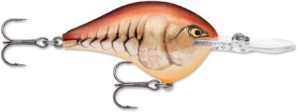 Rapala Dives To 10 Crankbait 2.25ft, 3/5oz, Floating