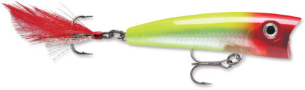 Rapala X-Rap Pop Topwater Lure, Floating