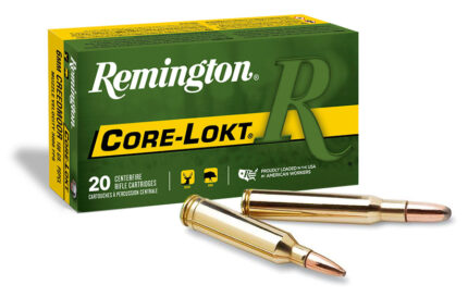 Remington Core-Lokt 7mm Magnum 140 Grain Core-Lokt Pointed Soft Point Centerfire Rifle Ammunition