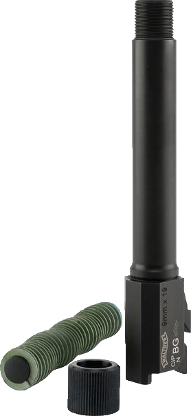 Walther Arms 281329710 PPQ M2 9mm 4.6" Black