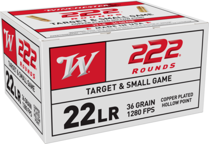 Winchester .22 Long Rifle 36 grain Copper Plated Hollow Point Rimfire Ammunition
