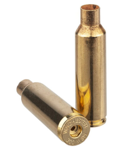 Winchester .270 Winchester Short Magnum Unprimed Rifle Brass